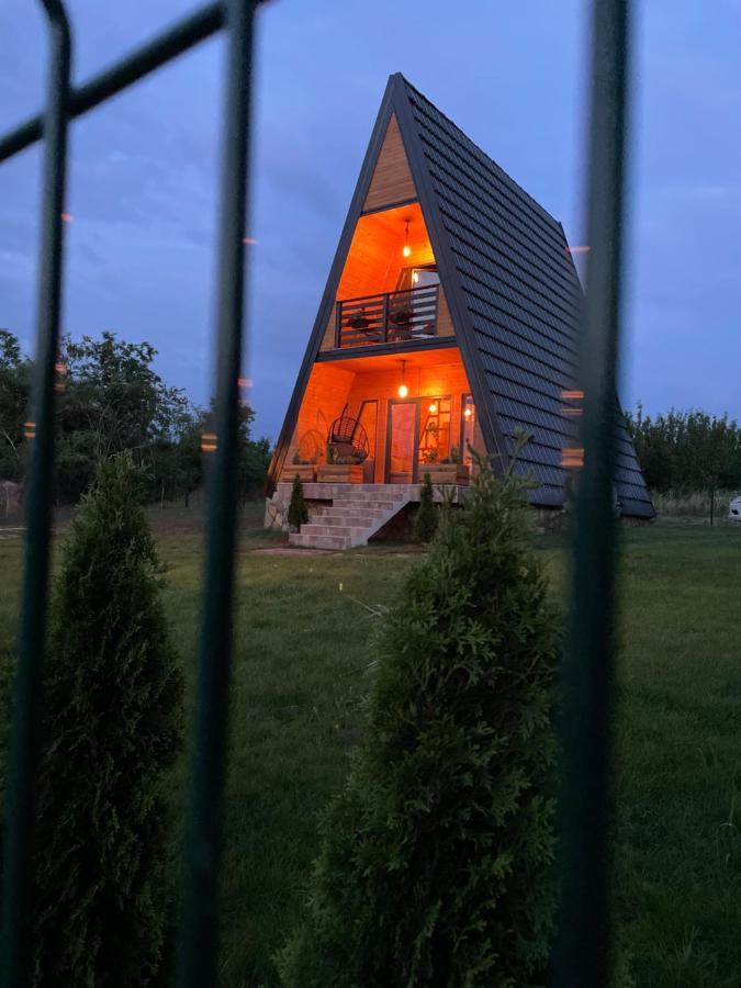 Vila Grujic 维尔蒂尼克 外观 照片